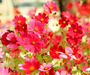 Vận may ngày thứ 6 (6/11)