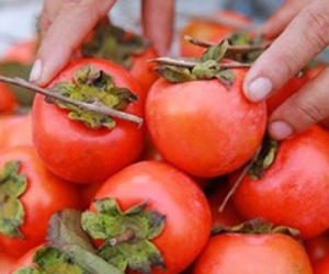 Ăn quả lắm nhựa, bé 5 tuổi "bụng cứng, nách to, ung thư hạch"?