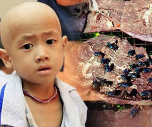 “NGU THÌ CHẾT” và người Việt ăn gì để không chết?