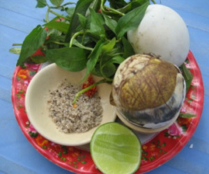 Người bệnh ung thư có nên ăn trứng vịt lộn?