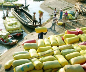 “Nông dân lăn lộn trồng lúa chỉ ngang tiền uống bia liệu có đáng không?”