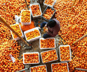 Xuất nhập khẩu Trung Quốc tiếp tục gây lo ngại