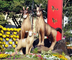 TP.HCM: Đường hoa Tết Bính Thân 2016 kéo dài 9 ngày