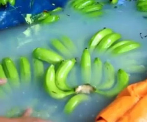 “Máy thử tội ác” và hội chứng trụ sở hoành tráng