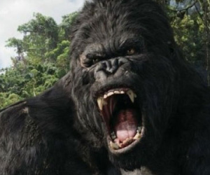 Samuel L. Jackson sang Việt Nam quay phim King Kong 2