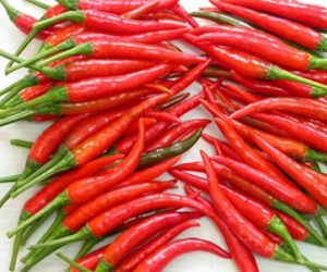Ăn gì để ngăn ngừa ung thư vú?