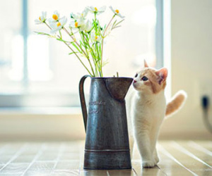 Vận may ngày thứ sáu (13/11)