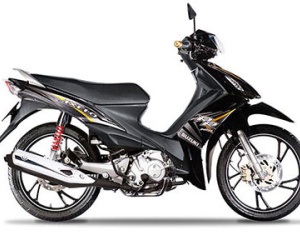 Xe côn tay giá rẻ Suzuki Axelo 125 thêm màu mới