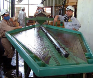 Có 400 kg vàng trong kho, đại gia cố tình nợ thuế