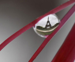 Nước Pháp hoa lệ trong bộ ảnh "Nước mắt Paris"