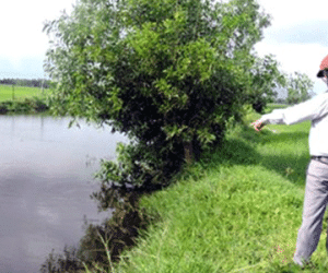 Rơi xuống mương ngoài đồng, bé 3 tuổi tử vong