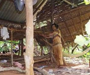 Bị tố hiếp dâm "nhạc mẫu", gã chồng điên cuồng giết vợ
