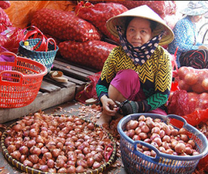 Gia vị tươi Trung Quốc áp đảo