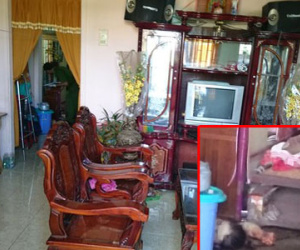 Vụ 3 mẹ con chết bất thường: Chị Nguyên bị đâm 8 nhát vào bụng