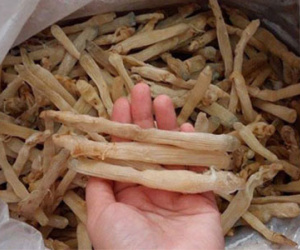 4 triệu đồng một kg sá sùng khô vẫn cháy hàng