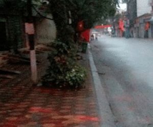 Học sinh lớp 6 rơi từ tầng 4 khách sạn xuống đất tử vong