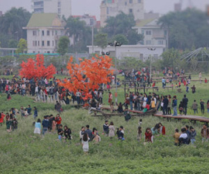 7.000 người kéo đến, thung lũng hoa Hồ Tây tan hoang sau hơn 2 ngày miễn phí