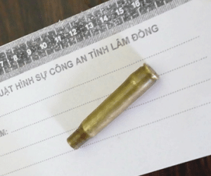 Bị bắn chết khi đi làm vườn