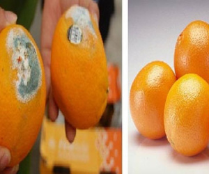Chiêu phân biệt hoa quả chín ép cực dễ dàng