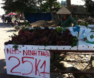 Sự thật về nho "siêu rẻ" bán giá bèo 25.000 đồng 1 kg