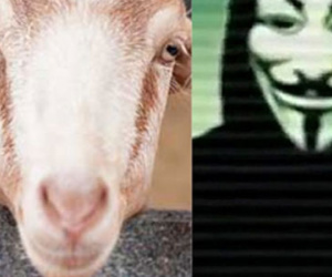 Anonymous chọc giận IS bằng ảnh dê