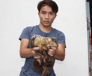 Nam thanh niên rao bán hổ trên Facebook