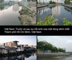 Ngân hàng Thế giới xem xét dừng vốn vay ưu đãi cho Việt Nam