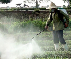 Người Việt bị "đầu độc" bằng thực phẩm bẩn như thế nào?
