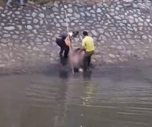 Xôn xao clip cô gái nhảy sông Tô Lịch giữa trời giá rét