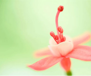 Chủ nhật của bạn (6/12)