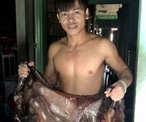 "Tôi đưa chồn bay lên Facebook để bảo vệ động vật hoang dã"