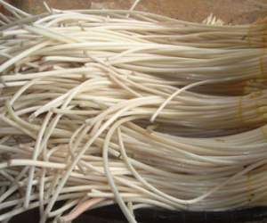 27 bí quyết sống khỏe và trường thọ của người xưa