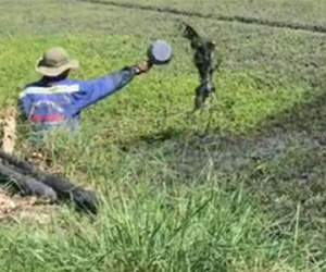 20 mẫu rau tưới nhớt tồn dư asen, đồng và kẽm