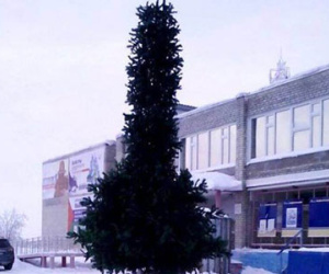 "Đỏ mặt" với cây thông Noel có hình nhạy cảm