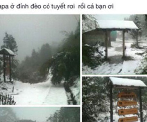 Thanh niên dựng chuyện Sapa có tuyết rơi và cái kết đắng