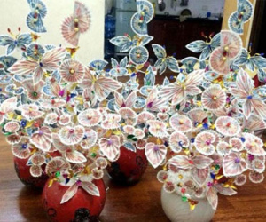 Bóc giá loạt cây tiền tài lộc 2016 vừa bung hàng