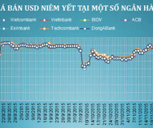 Chiều nay, tỷ giá USD/VND chính thức chạm trần