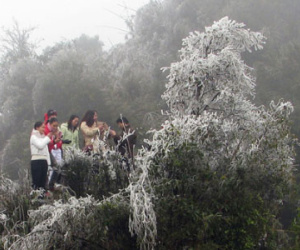 Sa Pa có thể xuất hiện băng giá