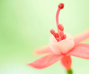 Thứ ba của bạn (15/12)