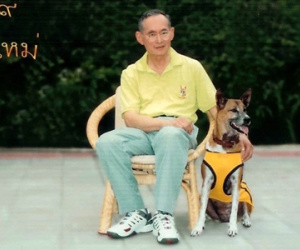 Đối mặt án tù vì nói xấu chó của quốc vương Thái Lan