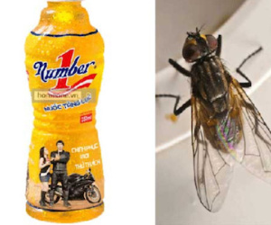 Một “con ruồi” đã khiến Tân Hiệp Phát mất hơn 2.000 tỷ đồng