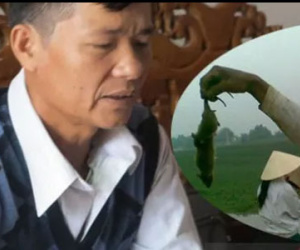 Người dân hoang mang vì chuột ăn thuốc cả tháng vẫn không chết