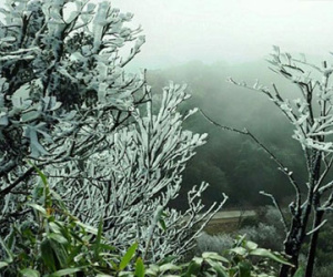 Rét đậm, rét hại ở miền Bắc kéo dài đến bao giờ?