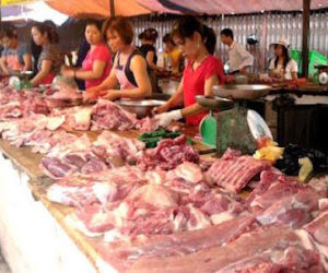 Sống giữa Thủ đô, một gia đình 6 năm không đi chợ