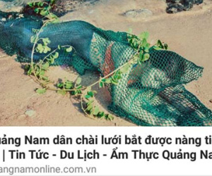 Đã xác định được người tung tin phát hiện nàng tiên cá