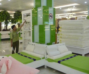 Ảnh bìa bài viết 335041