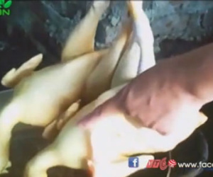 Clip: Kinh hãi hành trình đến những "mâm cơm bẩn" của người Việt