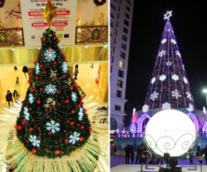 Ngắm những cây thông Noel “siêu khủng” ở Hà Nội