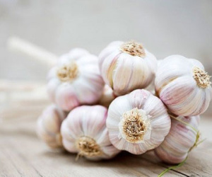 12 thực phẩm tuyệt đối không nên để trong tủ lạnh