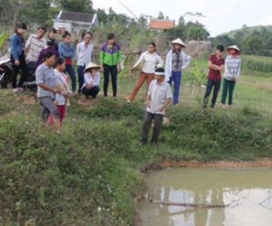 Hải Dương: Bàng hoàng phát hiện thi thể 3 con dưới ao cá